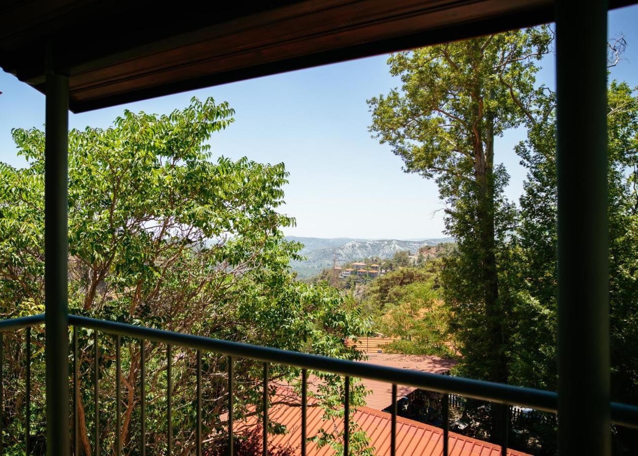 Petit Palais Platres Boutique Hotel Εξωτερικό φωτογραφία